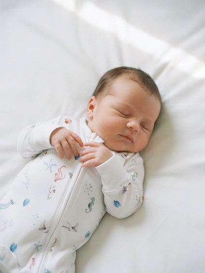 Malabar Baby Babygrow Romper - Under The Sea
