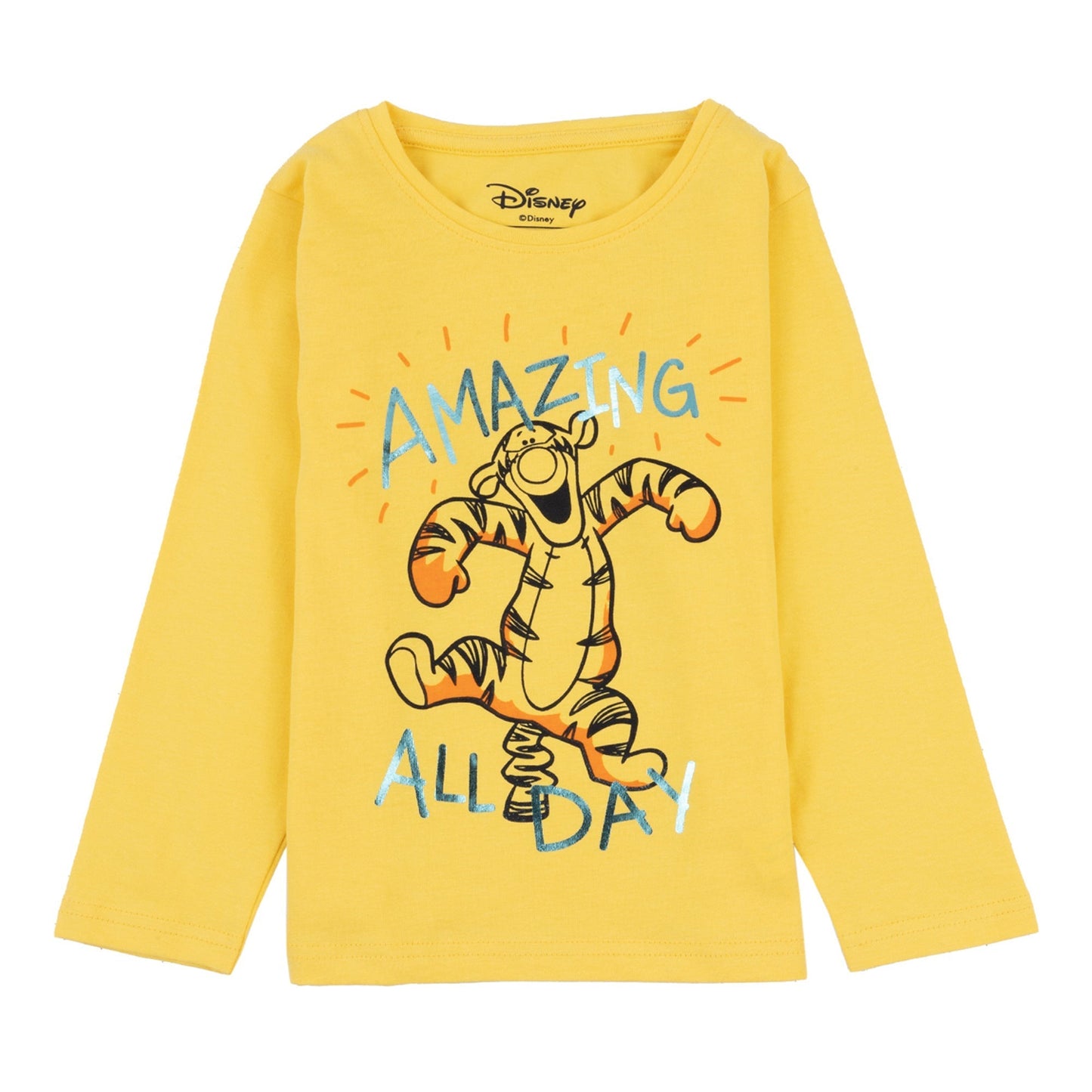Disney Tigger Round Neck "Amazing All Day" Foil Print Full Sleeve T-Shirt