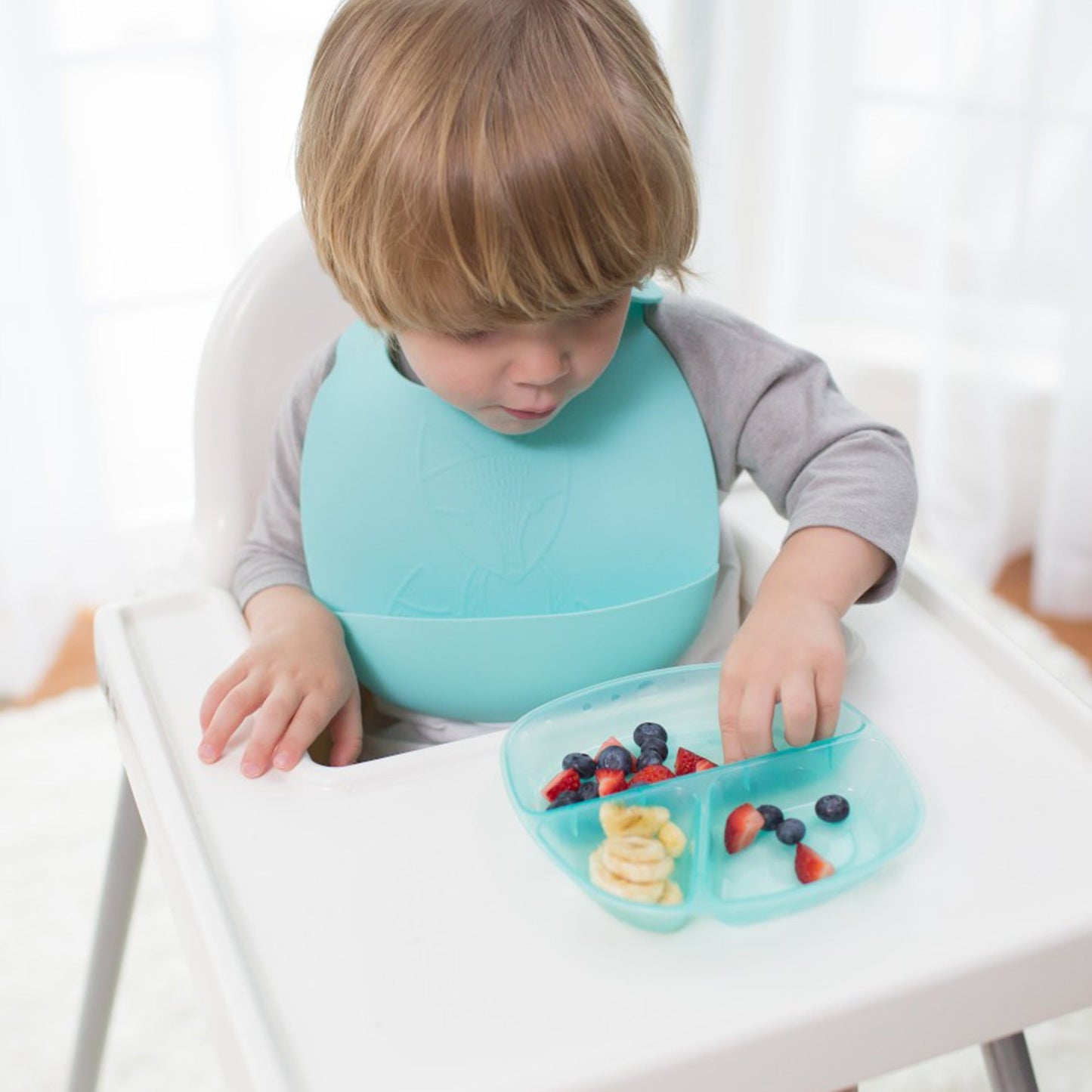 Dr.Brown's Divided Plates 3-pack