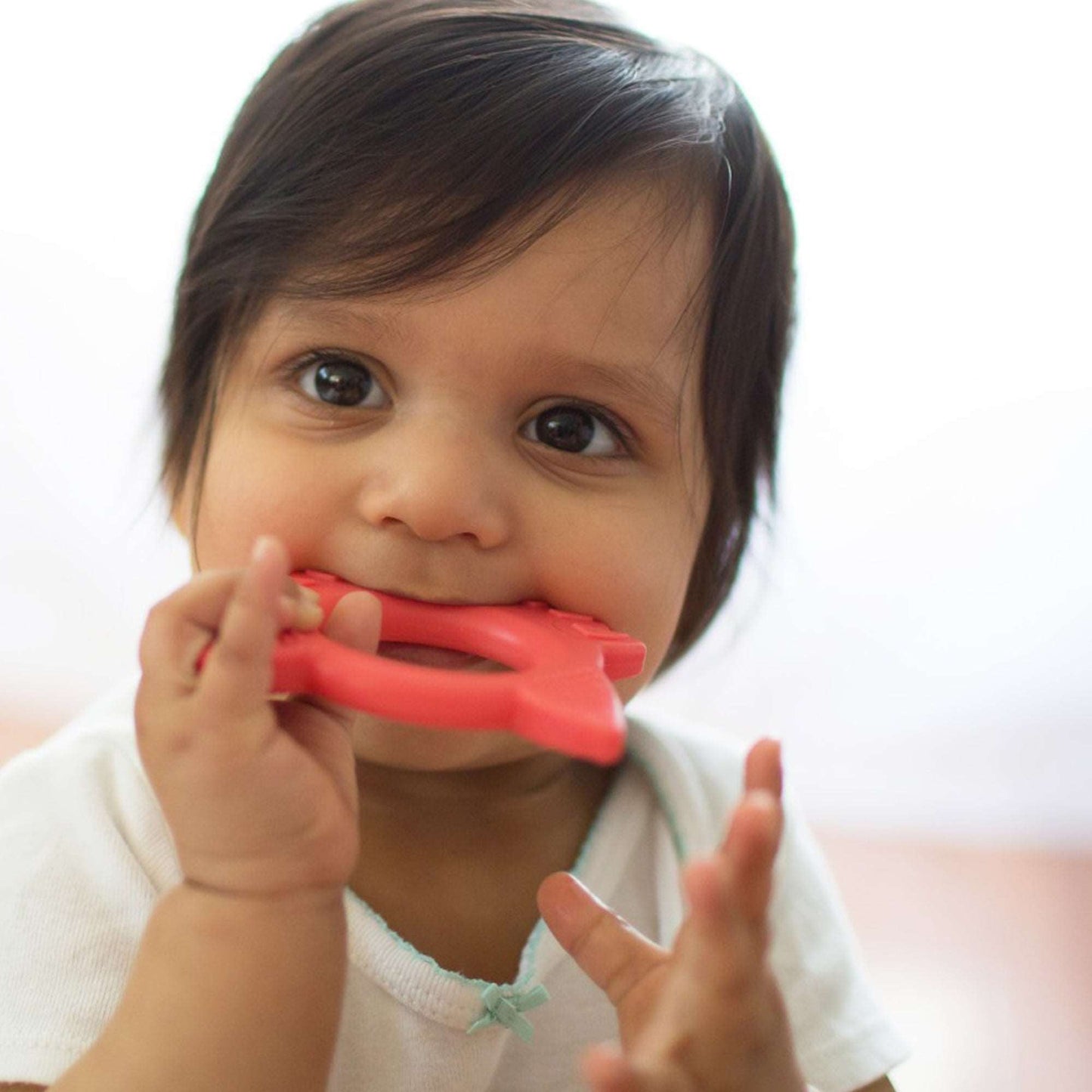 Dr.Brown's Flexees Friends Fox Teether || Used for 3months to 12months