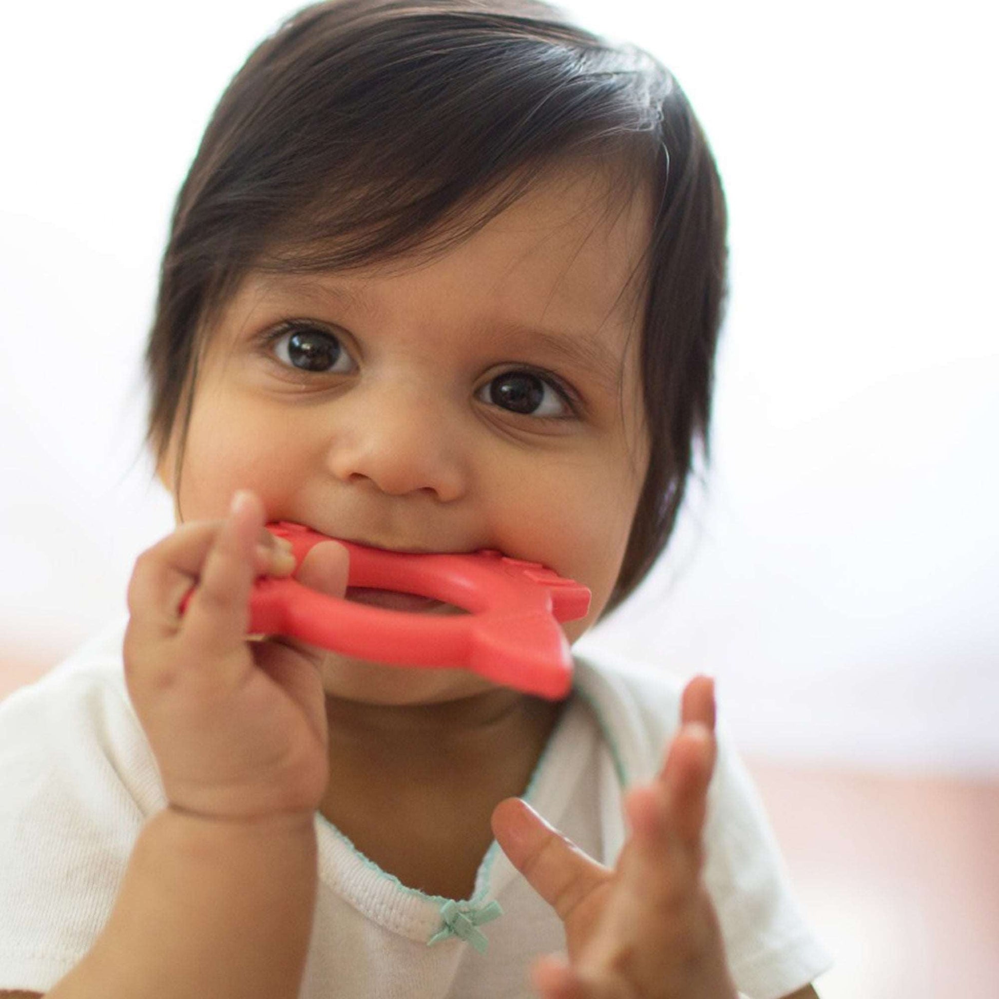 Dr.Brown's Flexees Friends Fox Teether || Used for 3months to 12months