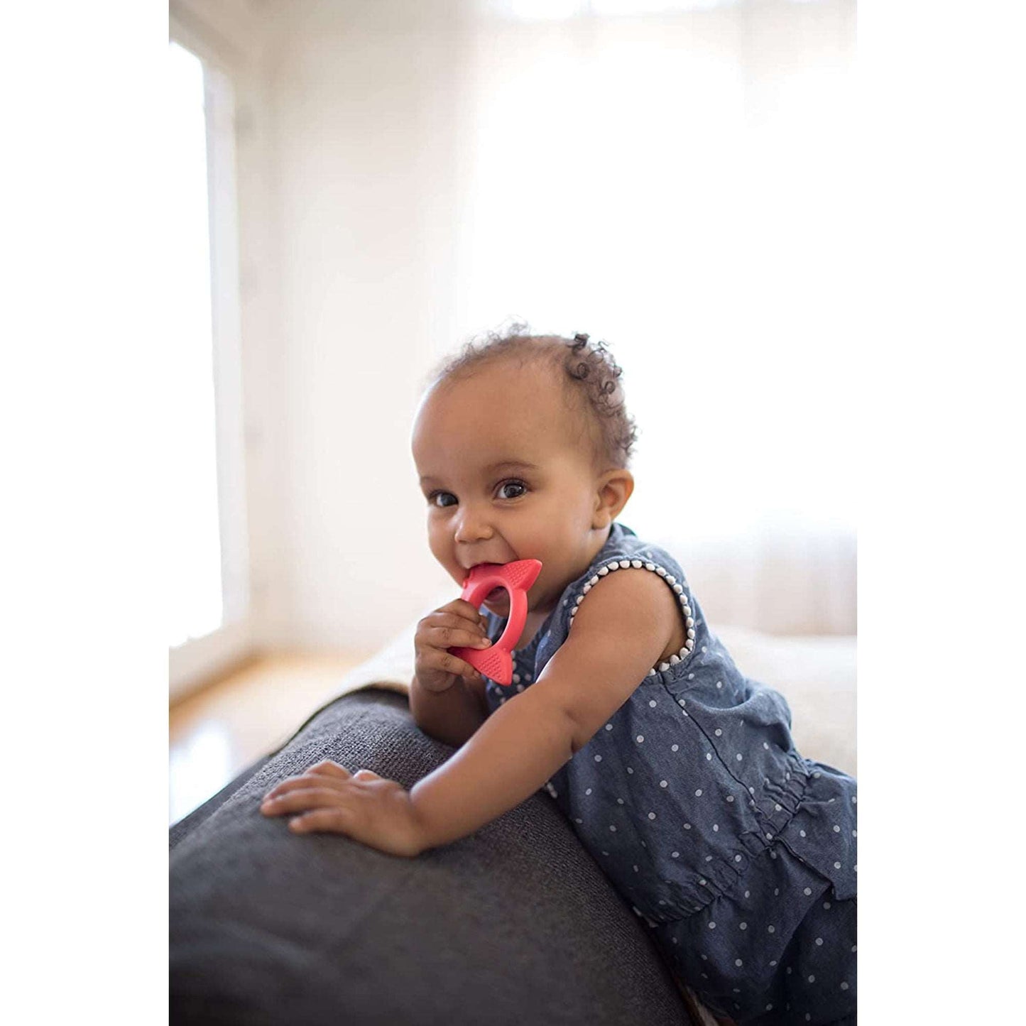 Dr.Brown's Flexees Friends Fox Teether || Used for 3months to 12months