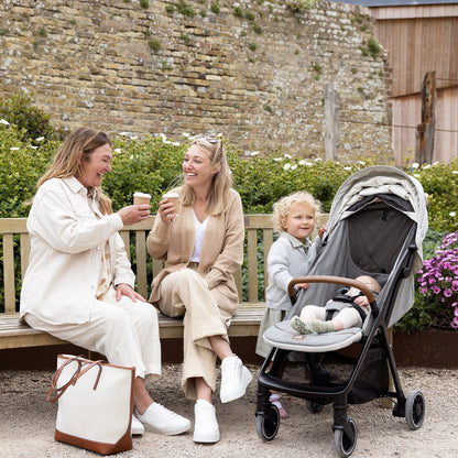 Joie PARCEL W/ ADPT & RC & TB  Stroller Pine 0 to 48 Months