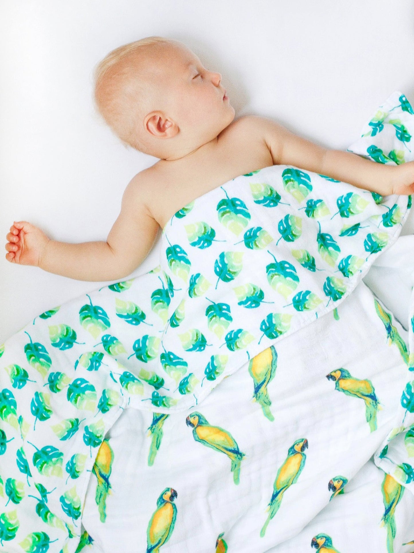 Malabar Baby Organic Snug Blanket - Parrots