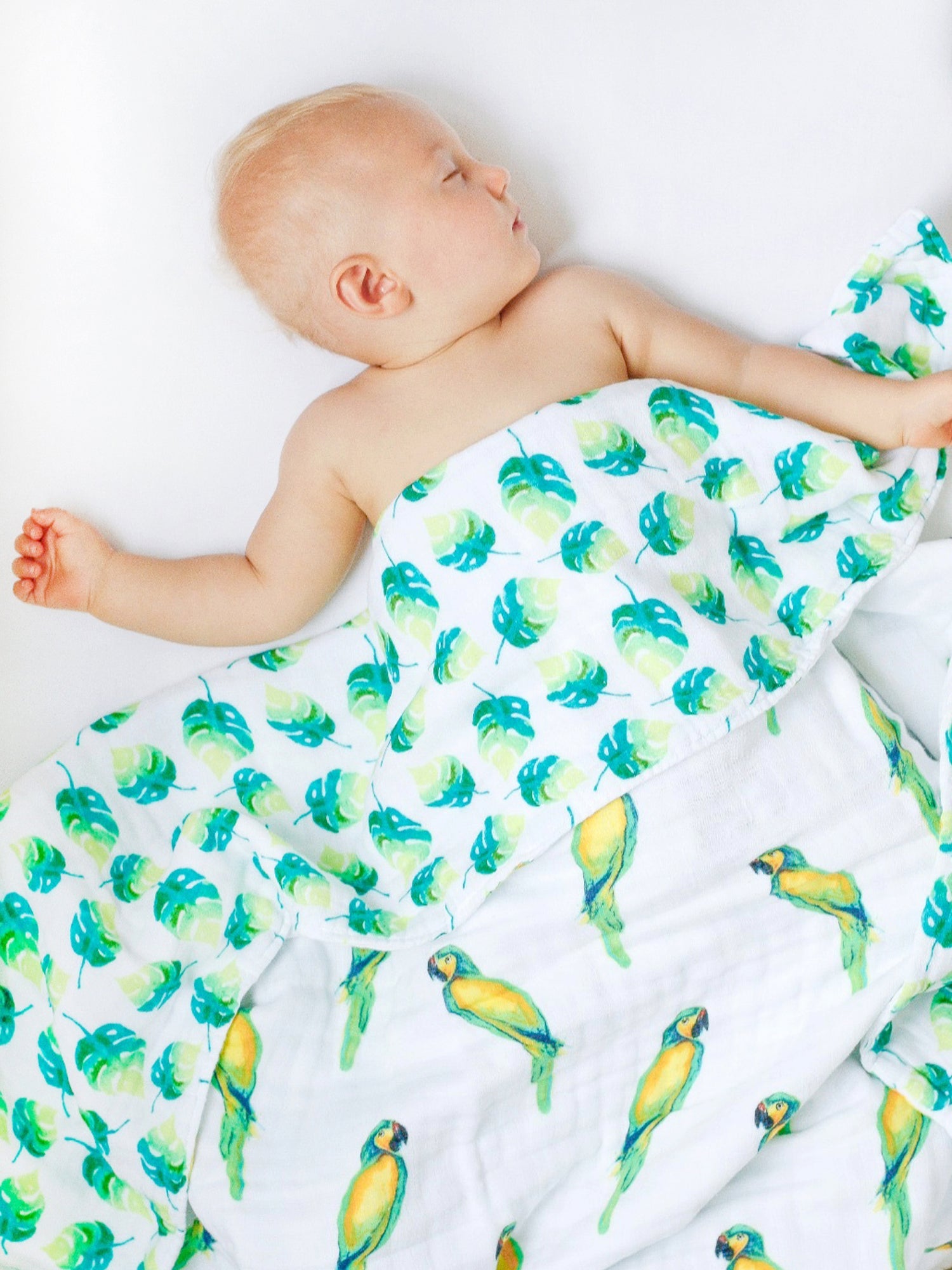 Malabar Baby Organic Snug Blanket - Parrots