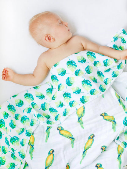Malabar Baby Organic Snug Blanket - Parrots
