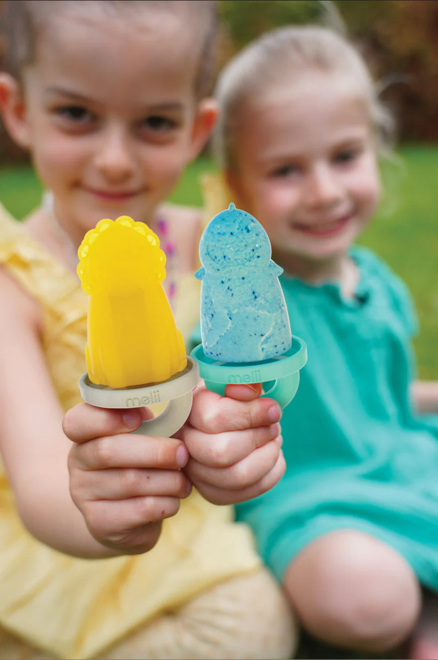 6 Piece Animal Ice Pops with Tray Multicolor - 3 to 6 Years
